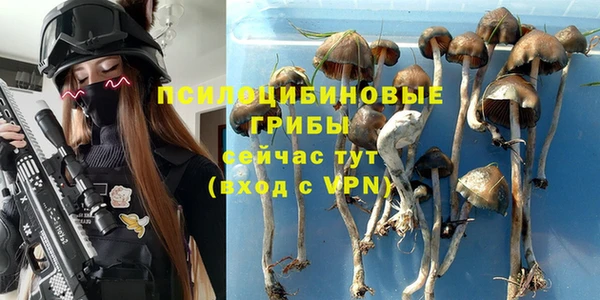 Альфа ПВП Баксан