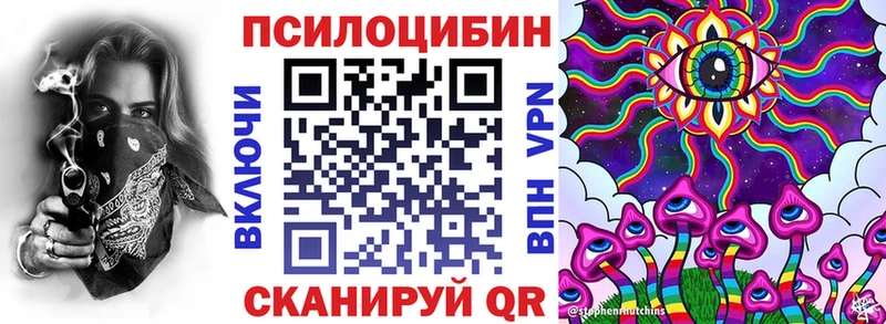 Псилоцибиновые грибы GOLDEN TEACHER  даркнет Telegram  Навашино 